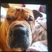 Lydia May - Facebook