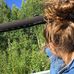 Lydia Ready-Mock - Facebook