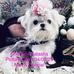 Lydia Moll - Facebook