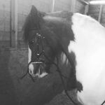 Lydia Nicholson - @xx_lids_xx2 - Instagram
