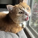 Lydia Olson - Facebook