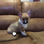 Lydia Parish - @lydia.avery.33 - Instagram