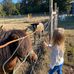 Lydia Partida - Facebook