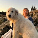 Lydia Petersen - @lydiapetersen15 - Instagram