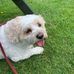 Lydia Penman - Facebook