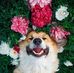 Lydia Rees - Facebook