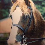 Lydia Rees - @lydiarees1948 - Instagram