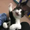 riverslydia687 - @riverslydia687 - TikTok