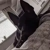 Lydia - @lydiaroper278 - TikTok