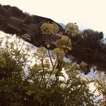 Lydia Roper - @lydiajroper - Instagram