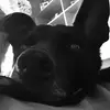 lydiaroper927 - @lydiaroper927 - TikTok