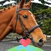 Lyda Rust - @lyda.rust - TikTok