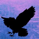 The Disappearances of Lydia Fountayne - @lydiadisappears - Instagram