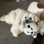 Lydia Schwarz - @schwarzlydia340 - Instagram