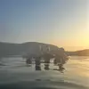 lyds xx - @lydia.stringerxx - TikTok