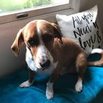 Lydia Bell - @lydiatinkerbell - Instagram