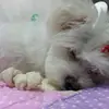 Lidia_Trigo - @Lidia_Trigo - TikTok