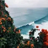 Lydia Tseng - @lydiatseng - TikTok
