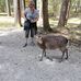 Lydia Vogel - Facebook