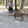 Lydia Vogel - @lydia.vogel5 - TikTok