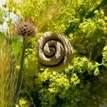 Lydia Voß - @travel_and_garden - Instagram
