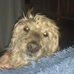 Lydia Wade - @lydia.wade.376 - Instagram