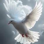 Lydia Weber - @un.monde.damour.et.d.amitie - Instagram