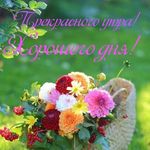 Lydia Weber - @lydiaweber1954 - Instagram