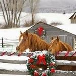 Lydia Jeannie Welsh - @redneckwoman1959 - Instagram