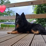 Lydia Wietsma - @lydiaatje_1964 - Instagram