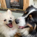 Lyla & Bailey - @lyla_and_bailey - Instagram