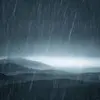 lylacarlson8 - @lyla.carlson - TikTok