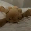 Lyla Denny - @lyla.denny - TikTok