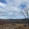 Layla Hall - @layla.hall8 - TikTok