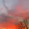 lyla.hall - @lyla.hall0 - TikTok