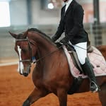 𝙻𝚢𝚕𝚊 𝙷𝚒𝚐𝚐𝚒𝚗𝚜 - @lyla.equine.spam - Instagram