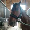 lylaspencer88 - @lylaspencer88 - TikTok