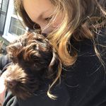 Lyla - @lyla_whitney - Instagram