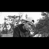 Lyle Adams - @lyleadams0611 - TikTok