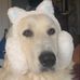 Lyle Arnold - Facebook