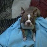 Lyle Ball - @lyleball1951 - Instagram