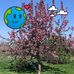 Lyle Ball - Facebook