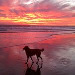 Lyle Ballard - @lyleballard - Instagram