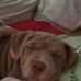 Layla Bates - Facebook