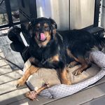 Lyle Bates - @bates_lyle - Instagram