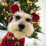 Lyle Bauer - @lylebauer - Instagram