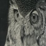 Lyle Booth - @bagovikingtrain - Instagram