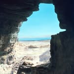 Lyle Braun - @netenj0y - Instagram
