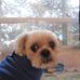 Lyle Brewer - Facebook