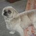 Lyle Brewer - Facebook